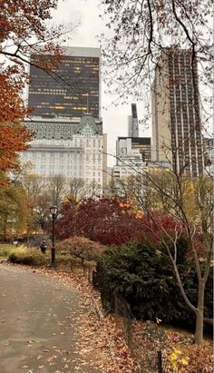 the city is full of tall buildings and trees with leaves all over it's ground