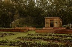 an outdoor garden with raised beds and water sprinkler in the middle, surrounded by trees