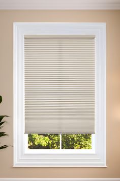 a window with blinds in the corner and a potted plant on the other side