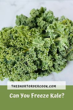 a large bunch of kale on a counter Frozen Kale, Frozen Recipes, Freezing Kale, Baked Green Beans, Kale Recipe, Brunch Casserole, Best Casseroles, Kale Recipes, Yummy Casseroles