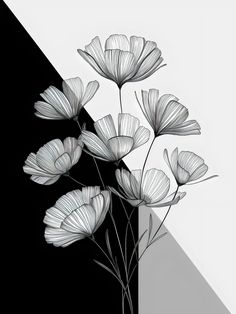 black and white photograph of flowers in front of a gray wall with shadow on it