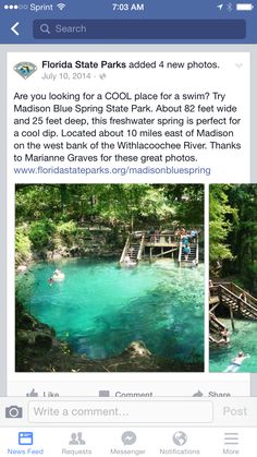 an instagram page for the florida state parks and new photos, which includes images of people swimming in blue springs