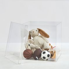 a stuffed animal in a clear plastic box with sports balls and basketballs inside it