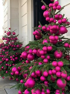 pink christmas balls are hanging from the top of a fir tree in front of a house