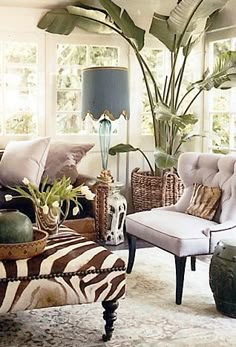 a living room with zebra print furniture and large plants in the window sill area