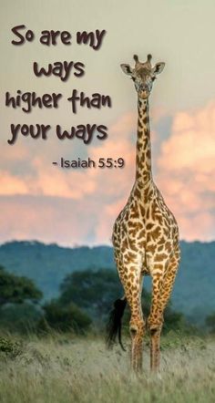 a giraffe standing in the grass with a bible verse on it's side