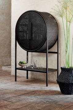 a black shelf sitting next to a potted plant on top of a wooden floor