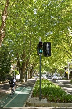 a man riding a bike down a street next to a green traffic light on a tree lined sidewalk