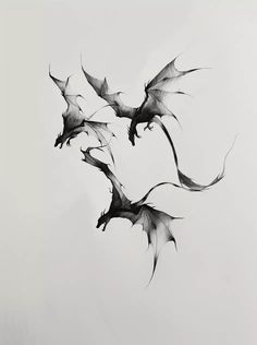 black and white photograph of three flying dragon's in the air with their wings spread out