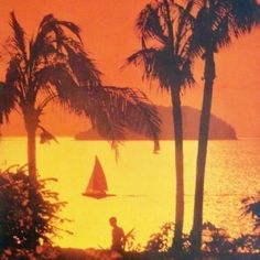 an orange sunset with sailboats and palm trees