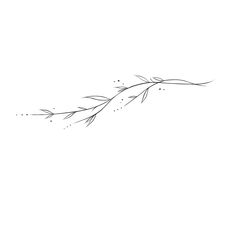 a black and white drawing of a branch