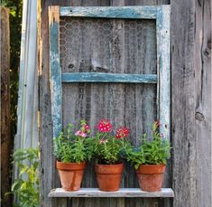 three potted plants sit on an old window sill in front of a wooden fence