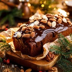 a loaf of chocolate cake with nuts on top