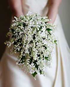 the bride's bouquet is made up of baby's breath and white flowers