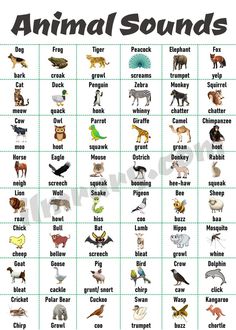 an animal sound chart with animals and their names