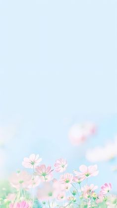 pink flowers are in the foreground with a blue sky behind them