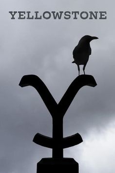 a bird sitting on top of a weather vane with the words yellowstone in front of it