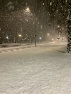 a snowy night with street lights and trees