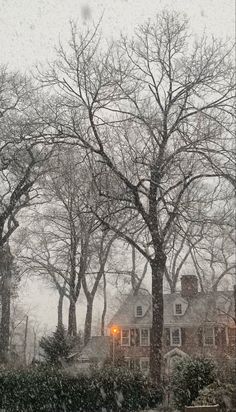 snow falling on the ground and trees in front of a house