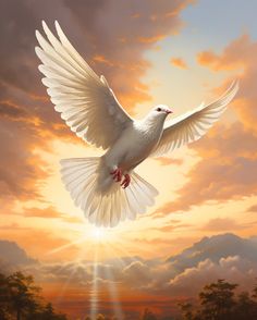 a painting of a white dove flying in the sky