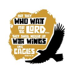 an eagle with the words but they who wait for the lord, they shall mount up with wings like eagles