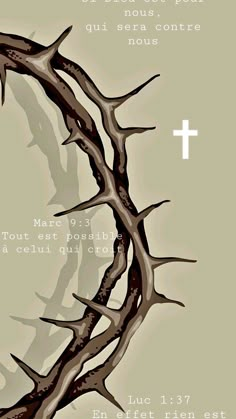 the cross is surrounded by branches in front of a gray background with words written below it