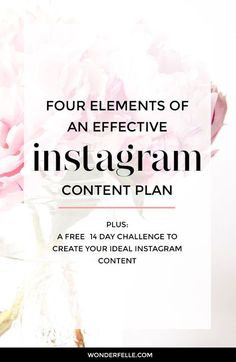 a pink flower in a vase with the words four elements of an effective instagram content plan