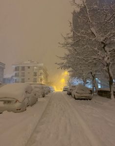 Snow Winter Aesthetic, I Love Snow, Aesthetic Winter, Christmas Feeling, Winter Love, Winter Scenery