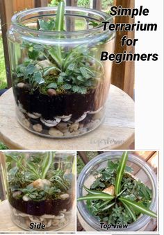 the instructions for how to make a simple terrarium for beginners are shown here