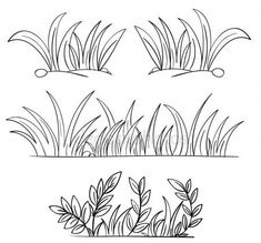 four different types of grass and plants in black and white, each with one line drawing