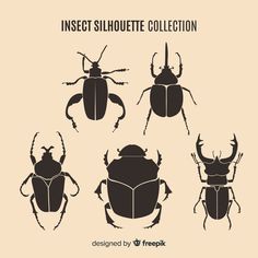 six insect silhouettes in black and white on a beige background with the words insect silhouette collection