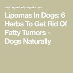 Fatty Tumors In Dogs, Environmental Activities, Heart Diet, Natural Home Remedies, Dog Care, Home Remedies, Fur Babies, Surgery, Chicken Recipes