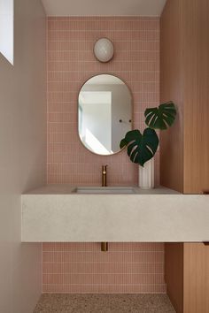 a bathroom sink with a mirror above it and a potted plant on the counter