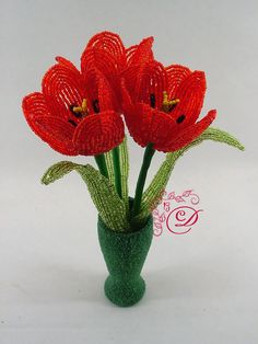 red flowers in a green vase on a white background