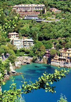 a lake surrounded by lush green trees and buildings