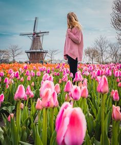 a woman standing in a field of pink tulips with a windmill in the background