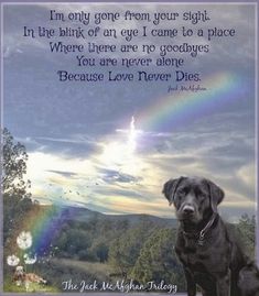 a black dog sitting on top of a hill with a rainbow in the background