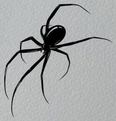 a black spider sitting on top of a white wall