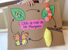 a child holding up a cardboard sign that says ciclo de viade las marposas