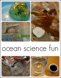 an ocean science fun activity for kids to do in the water and on the sand