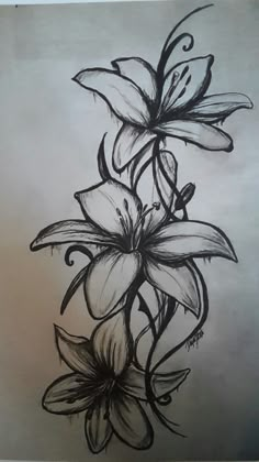 a drawing of some flowers on a sheet of paper