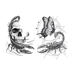 two drawings of scorpions and a skull with butterflies on their heads, one is black and white