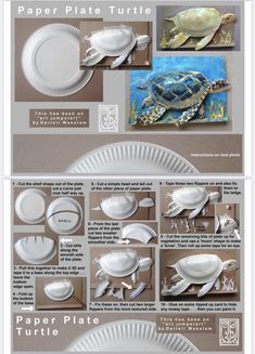 paper plates are arranged in different sizes and shapes