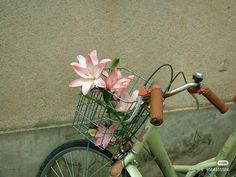 a bicycle with flowers in the basket parked next to a concrete wall and cement sidewalk