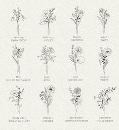 the different types of flowers are shown in black and white