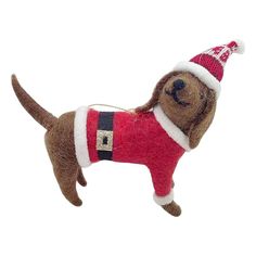 a brown dog wearing a red sweater and hat