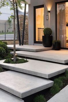 modern concrete steps leading up to the front door of a house with potted trees