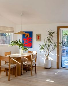 a dining room table with chairs and a potted plant in the corner next to it