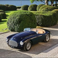 an old fashioned blue sports car parked in front of some bushes