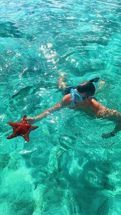 a woman swimming in the ocean with a starfish